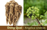 Organic Dong Quai Moss Gel(menopause)