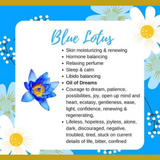Blue Lotus Face Oil(not for oily skin) - 2oz